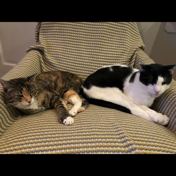 Hello! - Picture 1 of 2